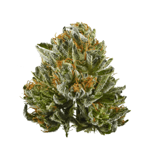 Bubba Kush 5g $30 10g $50