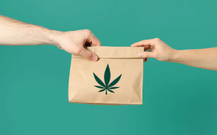 Cannabis Delivery in Hollywood