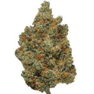 Strawberry Cough Kush – 7g 45$