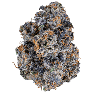 Bacio Gelato 7g SPECIAL!