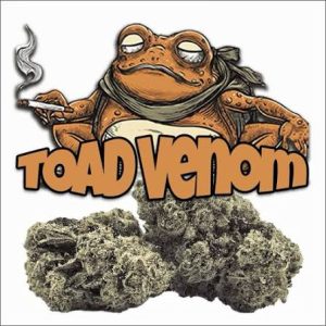 Toad Venom Smalls – 7g SPECIAL!