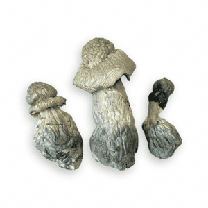 Ghost PE 380$ Oz