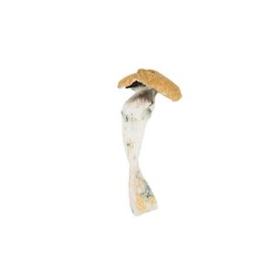 HillBilly (Country Cock)  240$ Oz