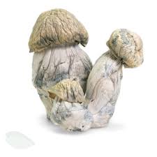 Albino x PE (APE)  250$ Oz