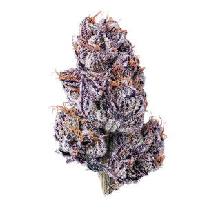 Cannabis Delivery in Echo Park